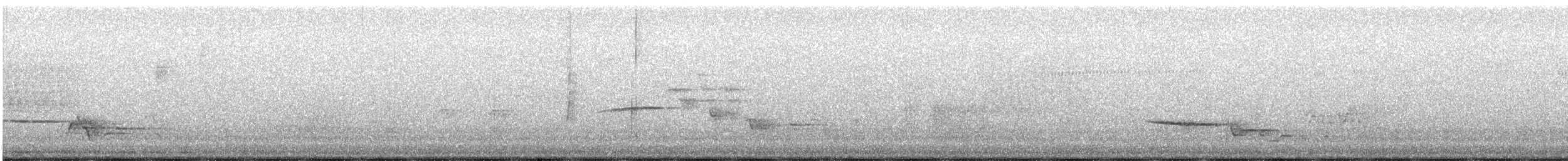 Дрізд-короткодзьоб плямистоволий - ML450678491