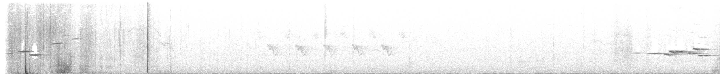 White-tailed Robin - ML450687531