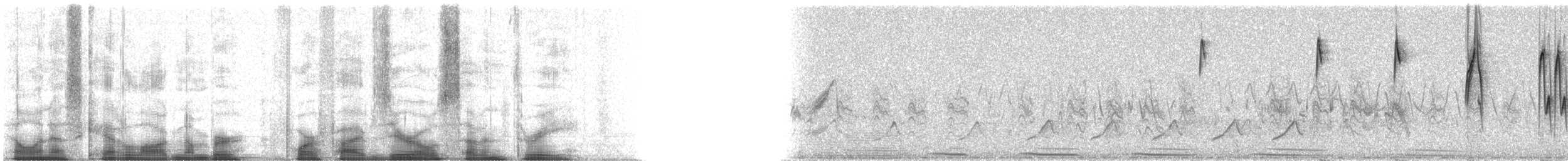 Botteri's Sparrow (Botteri's) - ML45073