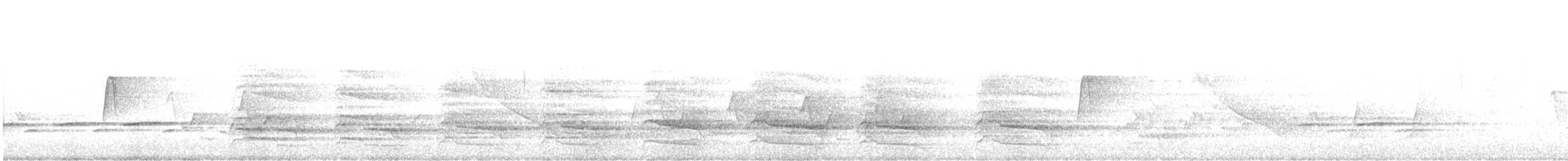 rødvingevåk (lineatus gr.) - ML450758241