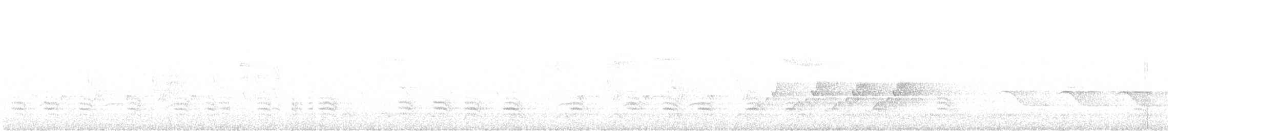 Sittelle à poitrine blanche (carolinensis) - ML450758791