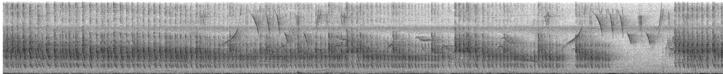 Rostflügelcanastero (obidensis) - ML450759501