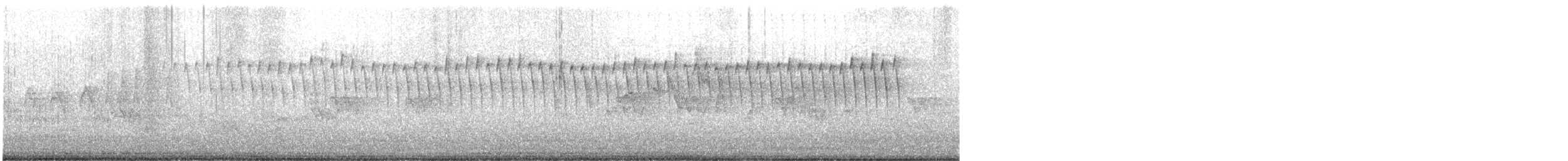 Schwirrammer - ML450761021