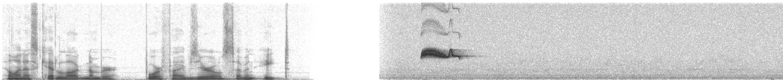 Batılı Tropikal Pivi - ML45078