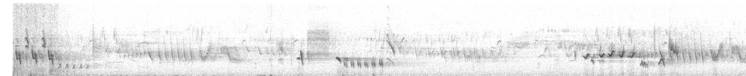 sørnattergal - ML450819411