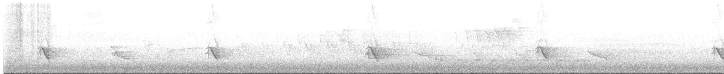 Grive à joues grises - ML450857421