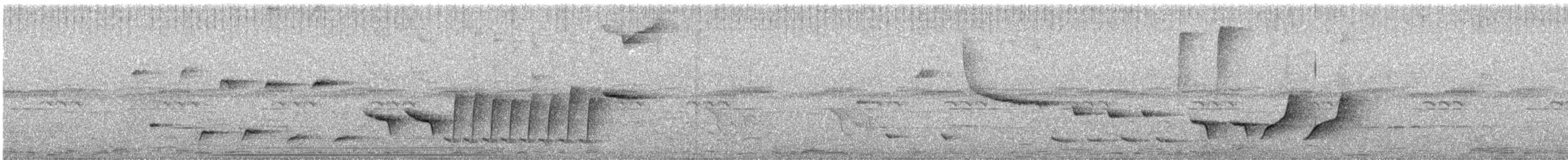 Şerit Karınlı Çıtkuşu - ML450911661