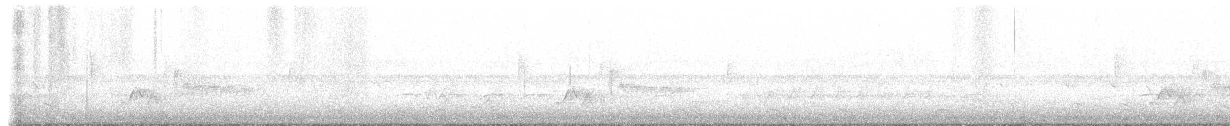 Kara Kanatlı Piranga - ML450948521