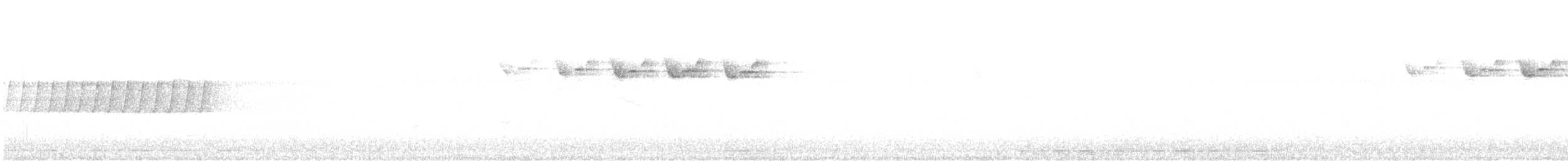 lesňáček černobílý - ML450949081