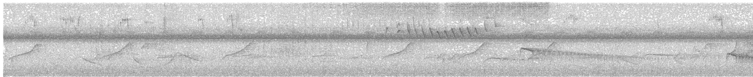 Weißkappen-Schleppentyrann - ML450963701