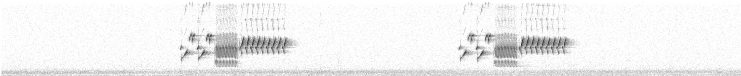 Schwarzkehlammer - ML451022561