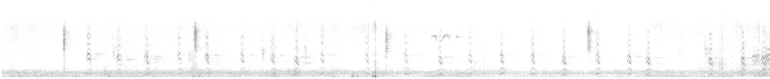 Black-necked Stilt (White-backed) - ML451141921