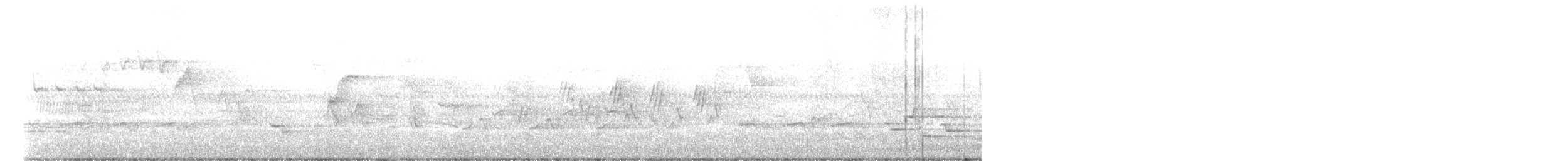 Черногорлая хвойница - ML451151151