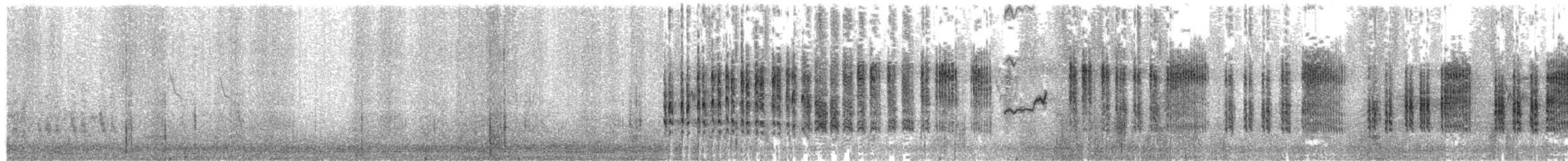 Phragmite des joncs - ML451166151