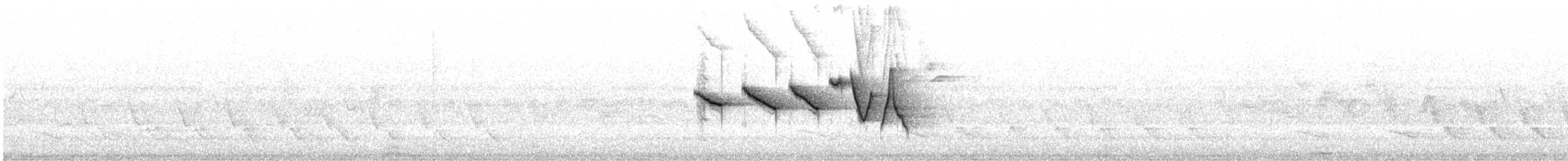 Paruline de Swainson - ML451169151