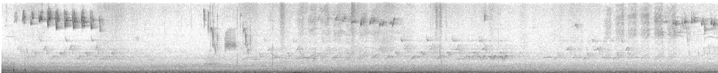 Blackpoll Warbler - ML451259511