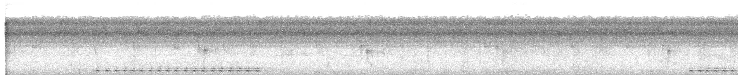 Slaty-tailed Trogon (Massena) - ML451275161