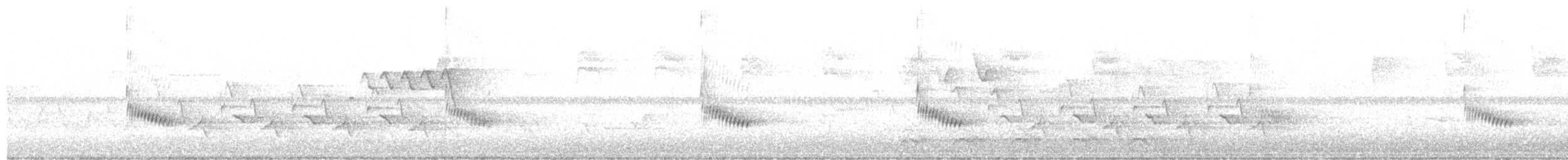 Каролинский крапивник - ML451300051