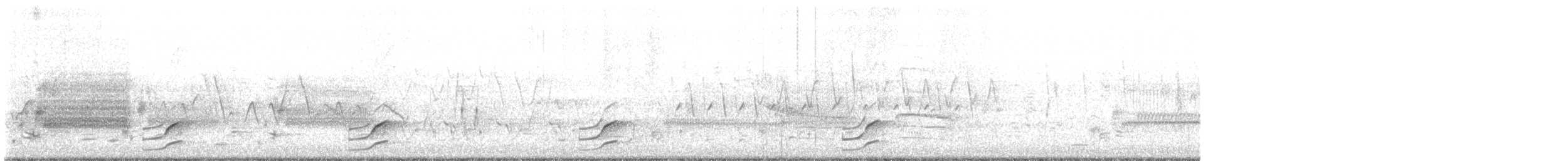 ברודית אמריקנית - ML451306971