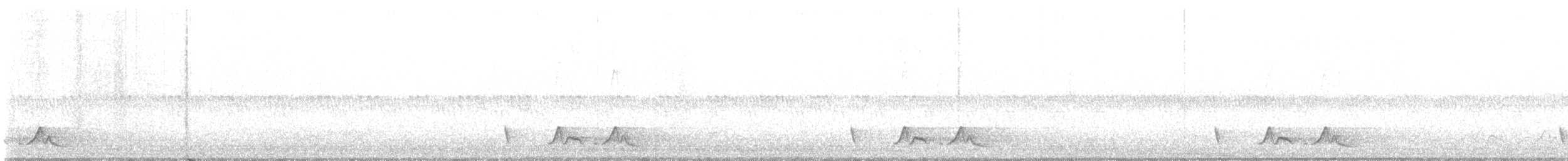 Chuck-will's-widow - ML451317011