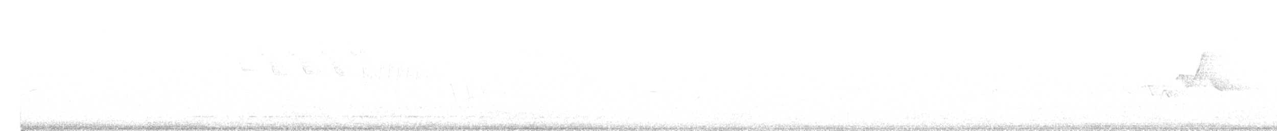 Paruline à capuchon - ML451328161