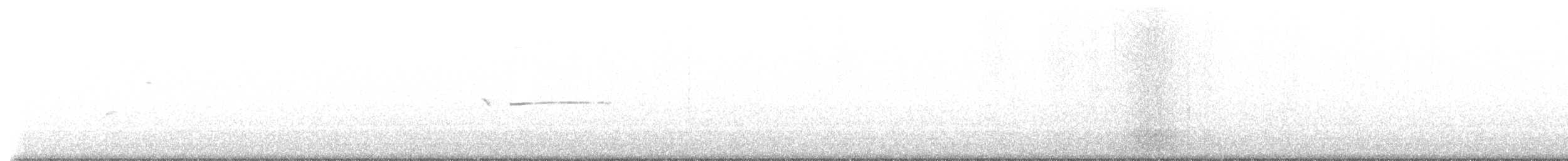 Broad-winged Hawk - ML451445561