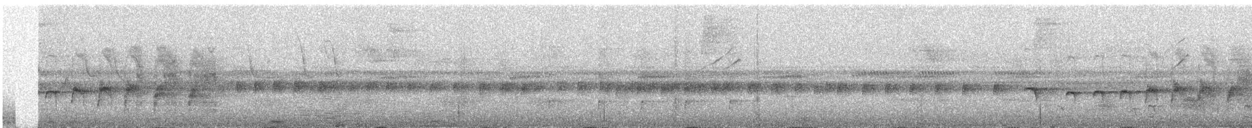 Rostflanken-Ameisenschnäpper - ML451452041