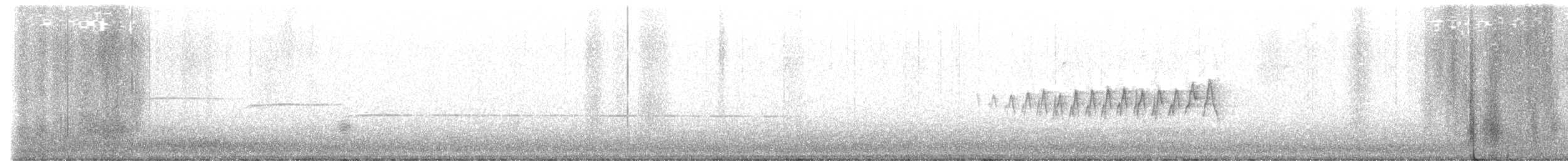 Wilson's Warbler - ML451466411