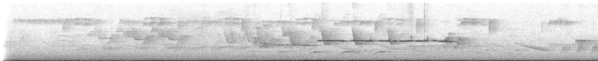 Белобровая овсянка x Белогорлая зонотрихия (гибрид) - ML451496441