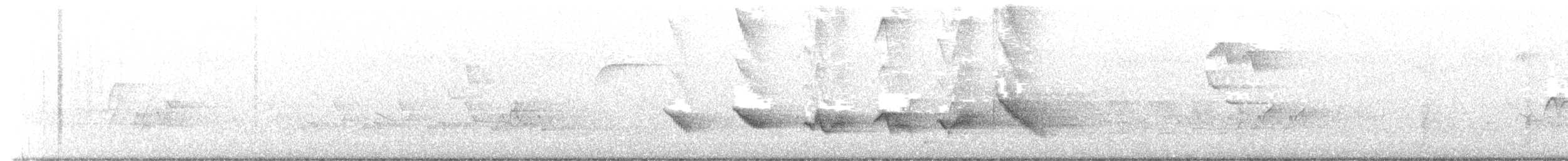 Piranga écarlate - ML451496831