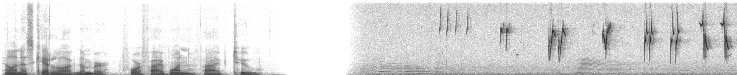 Botteri's Sparrow (Botteri's) - ML45152