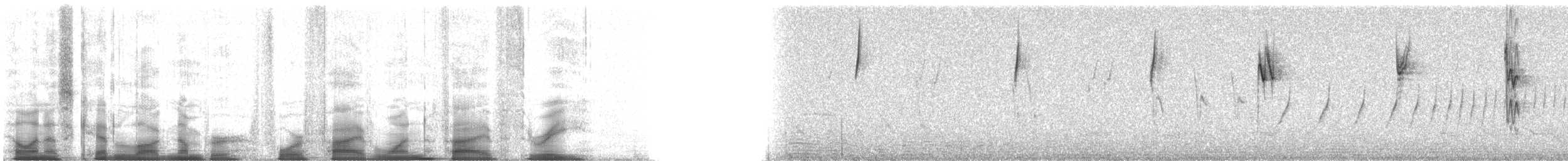 Botteri's Sparrow (Botteri's) - ML45153