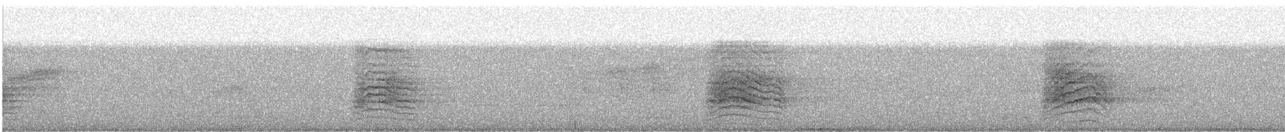 Gray Catbird - ML451568711