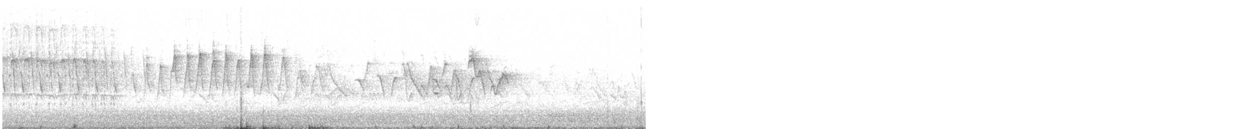 Wilson's Warbler - ML451662231