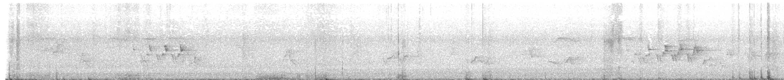svartbrystparula - ML451737531