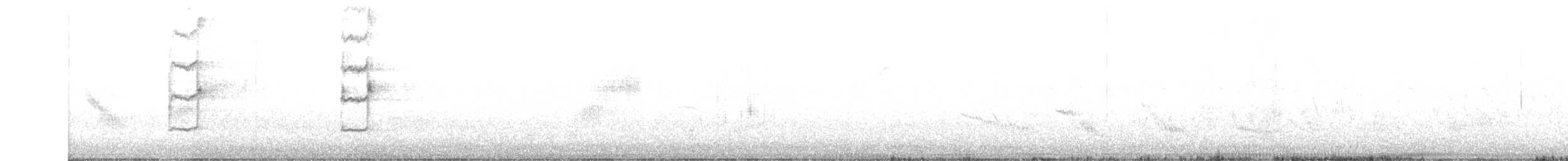 svarthodet dvergpapegøye - ML451797761