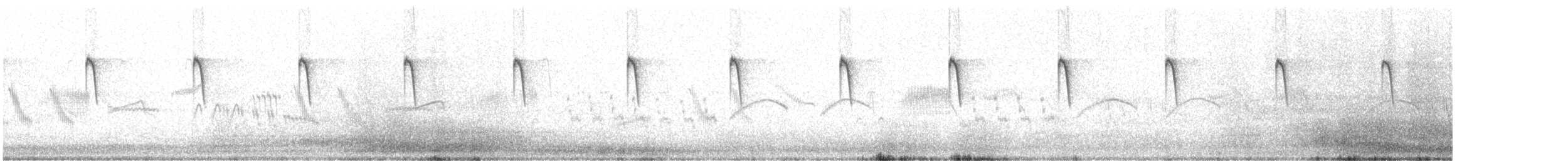 Cisticole des joncs - ML451854991