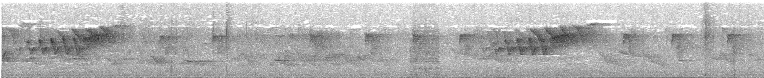 Cerulean Warbler - ML451870161