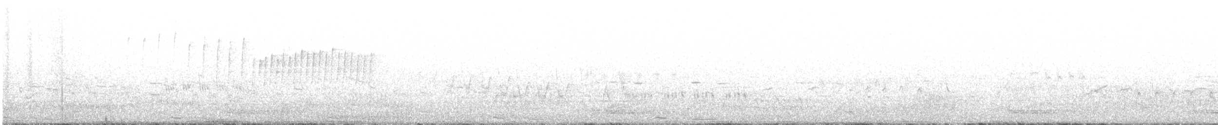 Wood Warbler - ML451987871
