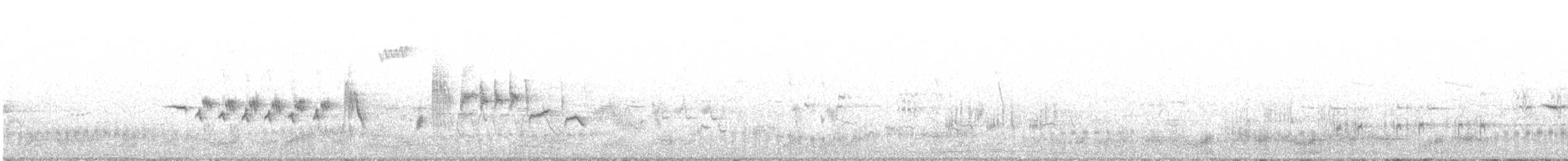 Common Redstart - ML451991531