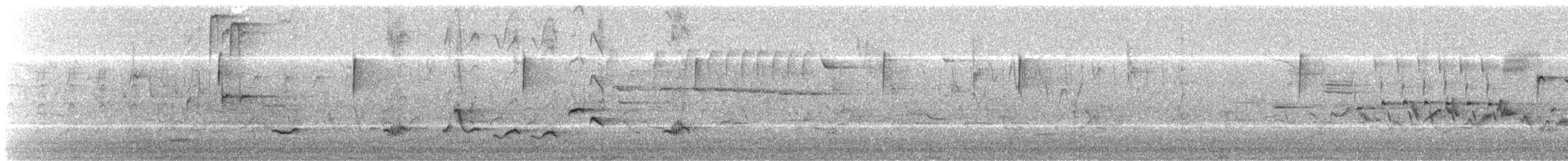 trupiál baltimorský - ML451993861