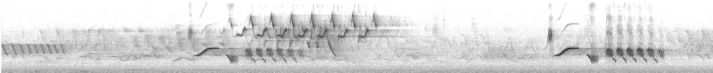 Eastern Towhee - ML452001611