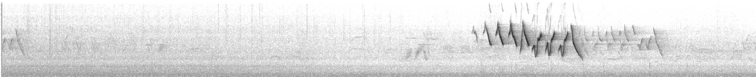 Chestnut-sided Warbler - ML452006671