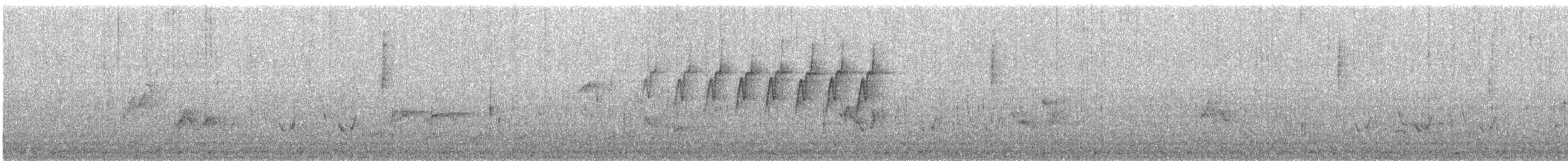 Protonoter Ötleğeni - ML452147001