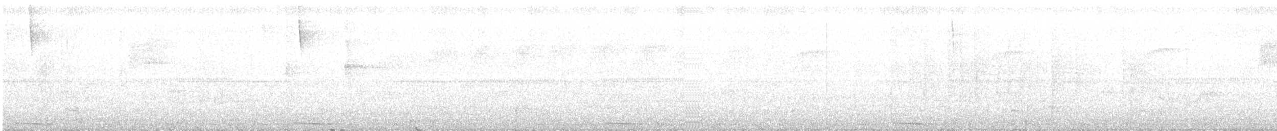 holub panamský - ML452179341