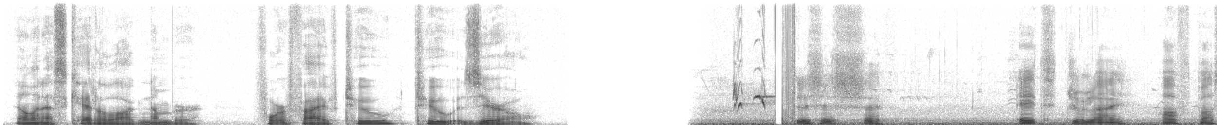 Karolina Çıtkuşu - ML45220