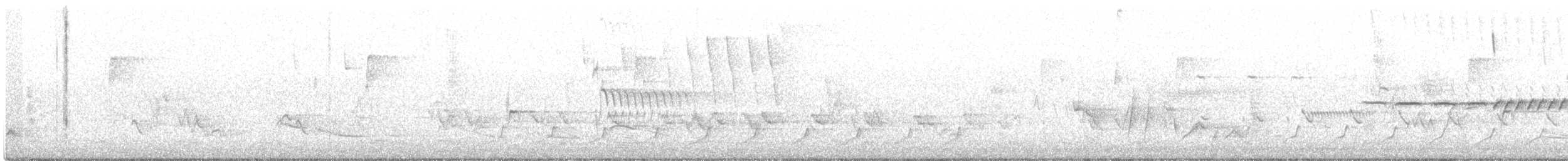 Tennessee Warbler - ML452237531