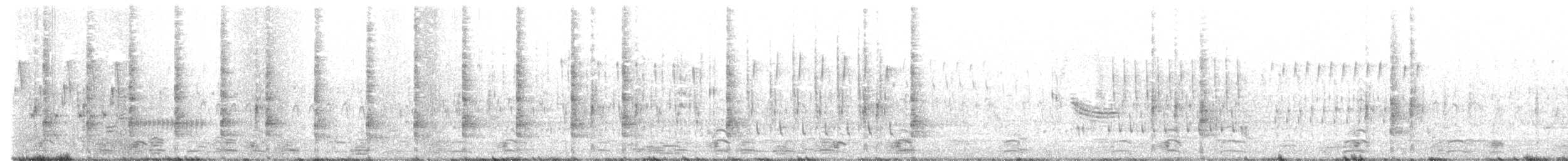 Königsralle - ML452250221