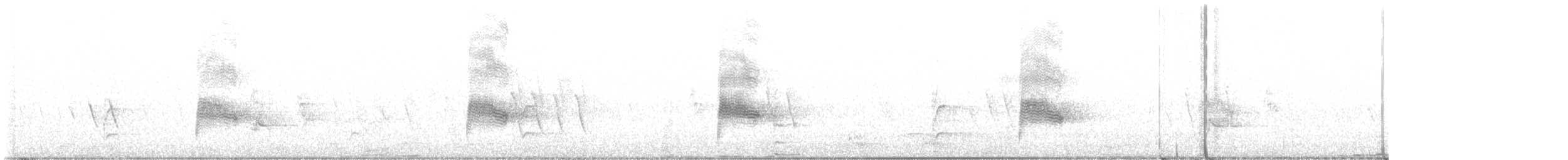 Common Nighthawk - ML452326081