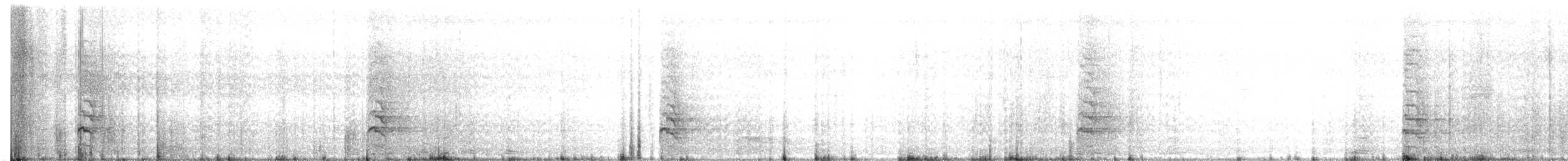 White-bellied Woodpecker - ML452365841